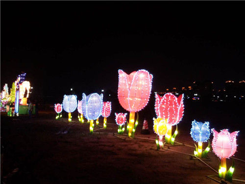 三館聯動打造亞太最大燈展 古鎮燈飾文化節開幕