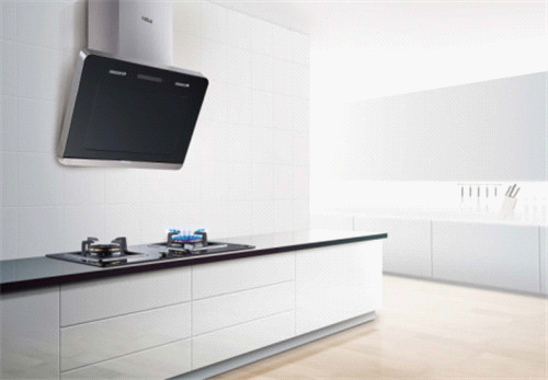 廚衛行業盛宴：年代摘獲“中國十大廚衛品牌”榮耀