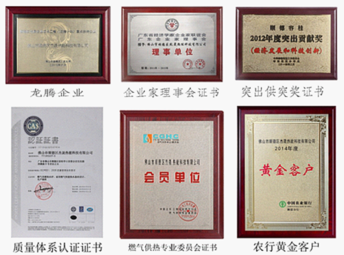 喜訊! 貝爾塔榮獲“2016年中國燃氣壁掛爐十強企業”