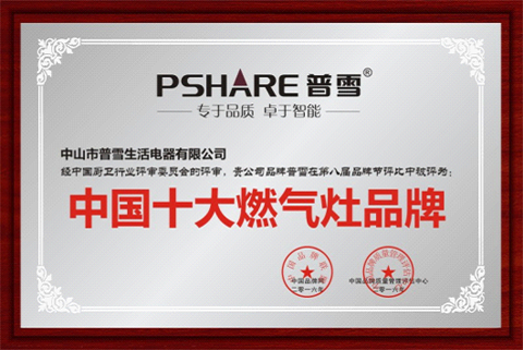位居中國十大燃氣灶品牌行列 普雪以技術鑄造十年品牌