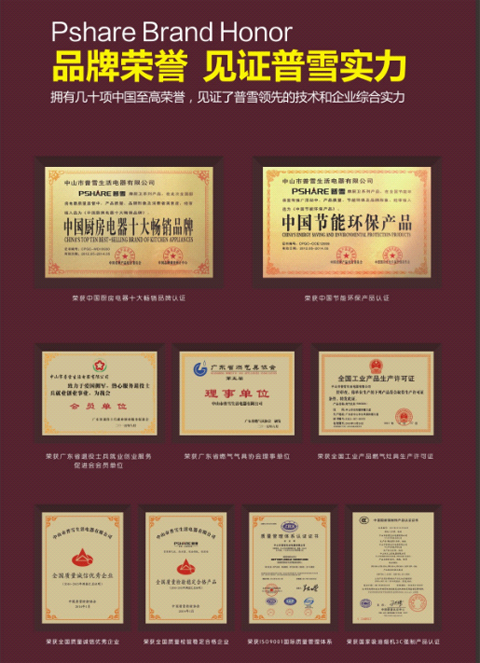 位居中國十大燃氣灶品牌行列 普雪以技術鑄造十年品牌