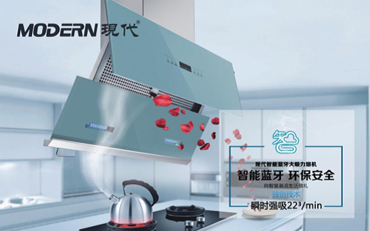 品質(zhì)現(xiàn)代  領(lǐng)跑“十大廚衛(wèi)電器品牌”